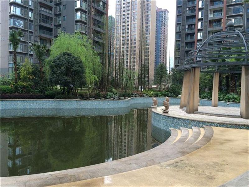 鲁能星城五街区精装修带巴蜀读书指标诚心出售